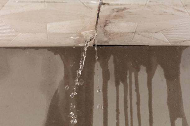 Professional Water Damage Repair technician working in Hoboken, NJ